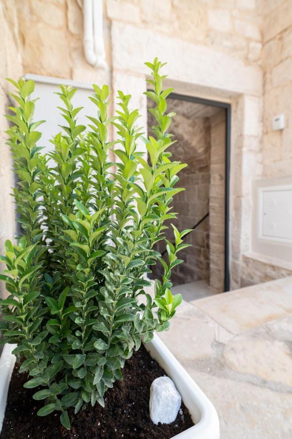 Hotel Piccola Pietra Bianca Giovinazzo Exteriér fotografie